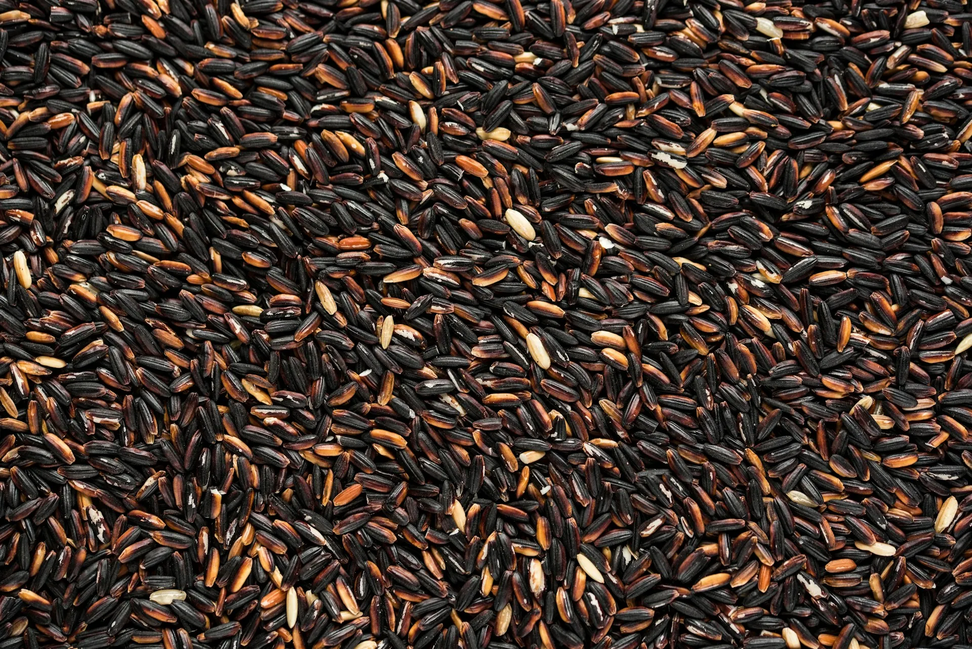 10 Manfaat Beras Hitam Untuk Kesehatan yang Harus Kamu Tahu